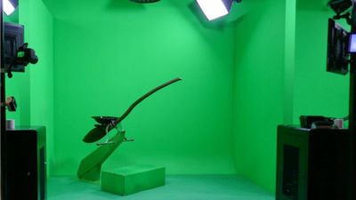 Bild eines Greenscreen-Sets mit einem Besen