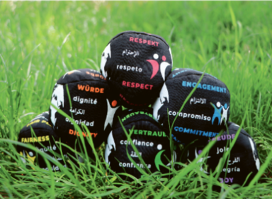 Foto der Spielbälle im Gras