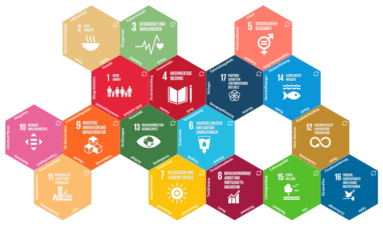 Screenshot des Tools "SDG-Domino"